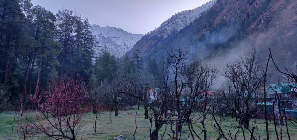 The Royal Orchard Kasol Hotel Ngoại thất bức ảnh