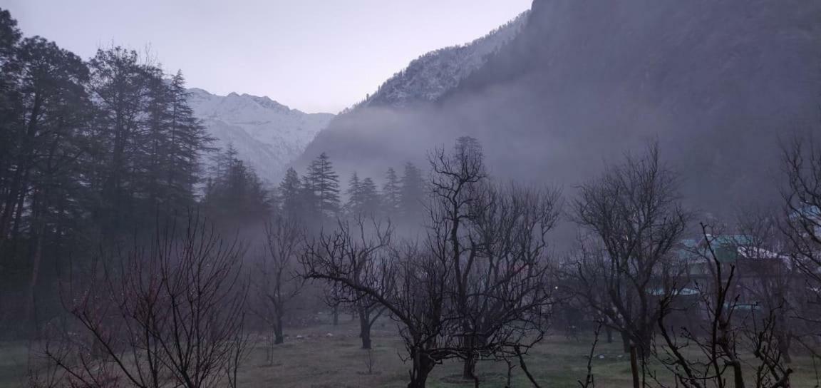 The Royal Orchard Kasol Hotel Ngoại thất bức ảnh
