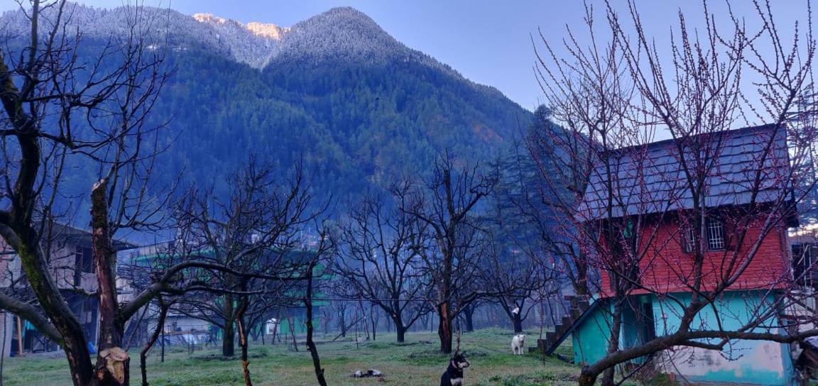The Royal Orchard Kasol Hotel Ngoại thất bức ảnh